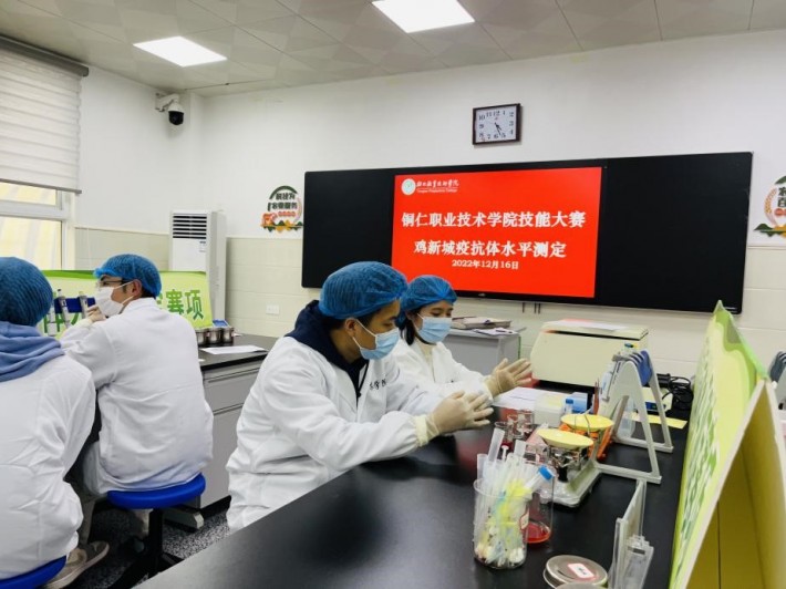 图5 各参赛队伍井然有序进行比赛.jpg