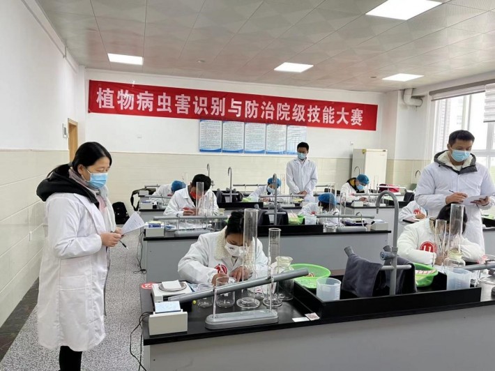 病虫害识别1.jpg