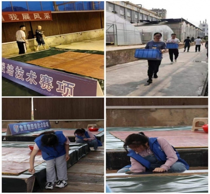 图片14.png